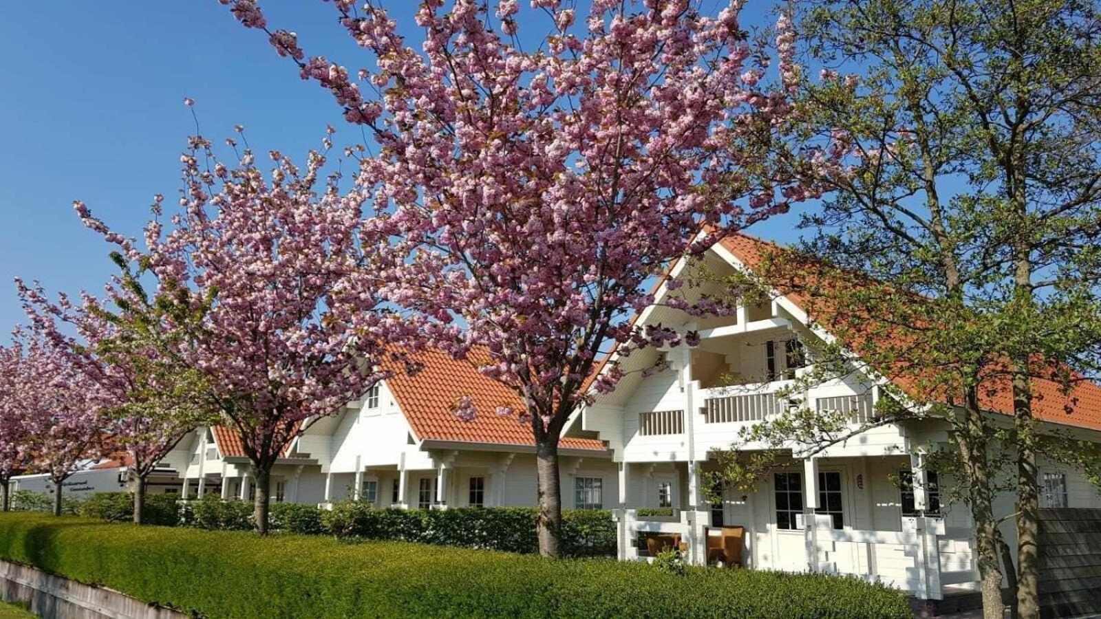 Vz982 Vrijstaand In